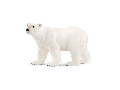 Zvieratko - ľadový medveď