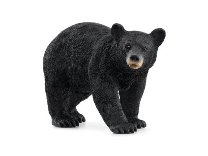 Zvieratko - medveď čierny