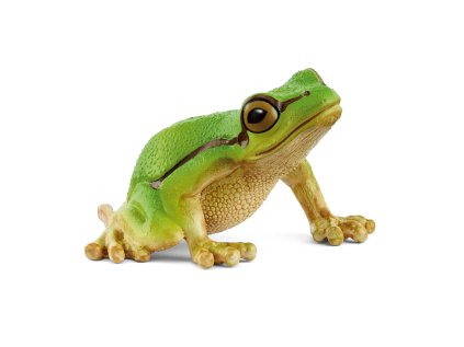 Zvieratko - Rosnička zelená