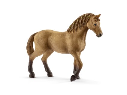 set žriebä a Quarter kôň so šteniatkom a príslušenstvom