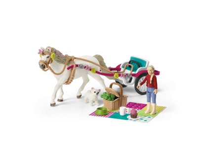 Kočiar pre konskú šou