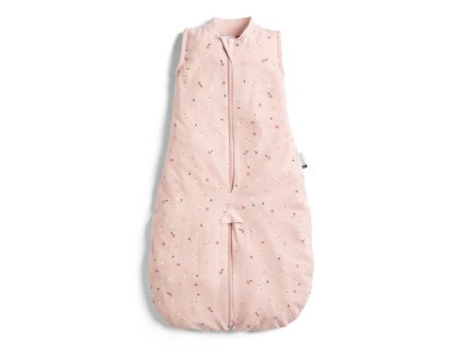 ZEPJS 0.2T08 24MDA23