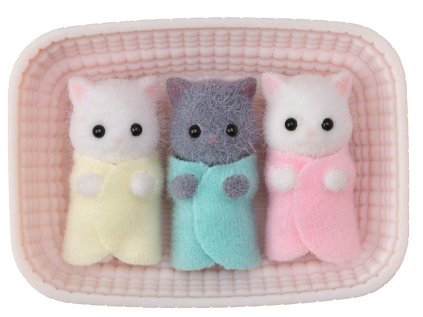 Trojčatá perzské mačky