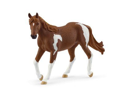 Zvieratko - Kobyla paint horse