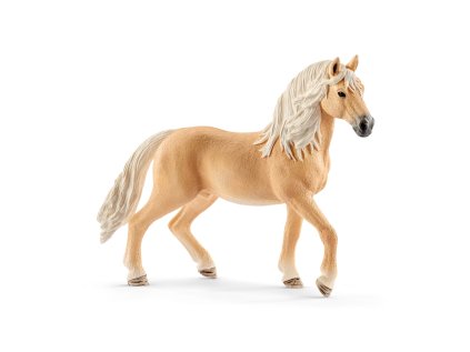 set andalúzsky kôň a módne doplnky