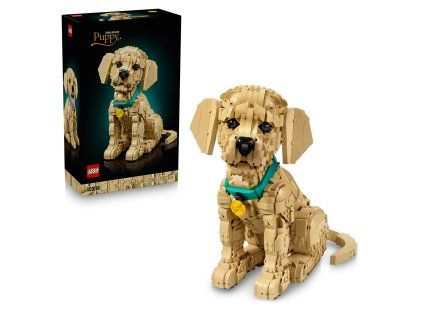 Lego Šteňa zlatého retrievera
