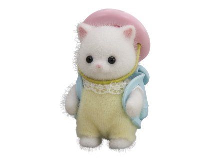 Baby perzská mačka