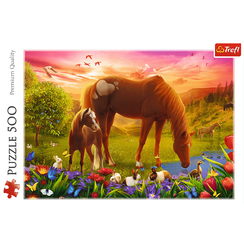 Trefl Puzzle 500 - Kone na lúke