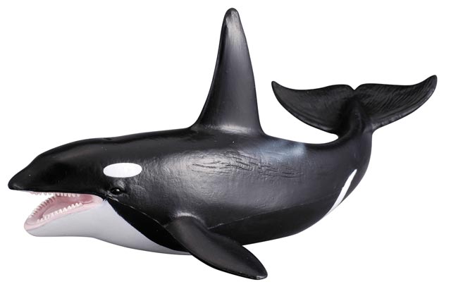 Collecta COLLECTA Kosatka