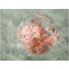 Little Dutch Nafukovacia lopta (Variant Pink)