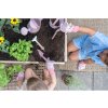 Little Dutch Vedierko (Variant Fairy Garden)