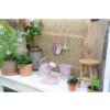 Little Dutch Vedierko (Variant Fairy Garden)