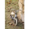 QPLAY Odrážadlo Trainer Beige, vek 2-4 roky