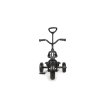 QPLAY Trojkolka Ant Plus, vek 2-6 rokov (Variant Green)