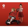 QPLAY Trojkolka Ant Plus, vek 2-6 rokov (Variant Green)