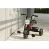 QPLAY Trojkolka Triduro, vek 2-6 rokov (Variant Green)