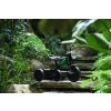 QPLAY Trojkolka Triduro, vek 2-6 rokov (Variant Green)