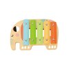 hudobna sada zvieratka tooky toy TF567 03
