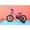QPLAY Bicykel Miniby 3v1, vek 2 - 8 rokov (Variant Green)