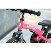 QPLAY Bicykel Miniby 3v1, vek 2 - 8 rokov (Variant Green)