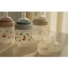 Little Dutch Dojčenské fľaše 165 ml + 240 ml + 2 cumlíky (Variant Fairy Garden)