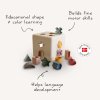 Shape Sorting Box.Infographic p