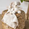 NATTOU Hračka plyšová Teddy 24 cm, 0m+ (Variant psík)