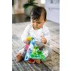 BABY EINSTEIN Hryzačka/knižka Curious Explorers ™ 0m+