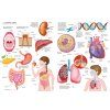 8093 moja velka obrazkova encyklopedia 02