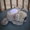 NATTOU Projektor hudobný so svetlom (Variant koala grey)