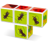 121GEO magicube insects 4 diely 1