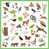 dj09285 samolepky fauna 160 ks 4