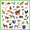 dj09285 samolepky fauna 160 ks 5