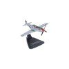 US Air Force Mustang P51