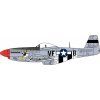 US Air Force Mustang P51