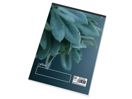 Blok poznámkový A4 80l. čistý