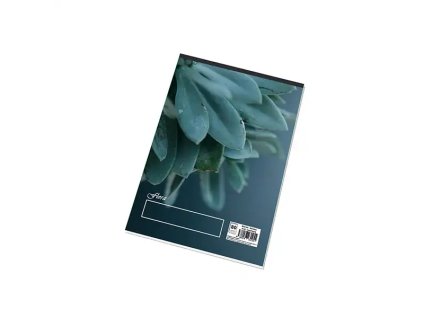 Blok poznámkový A5 80l. čistý