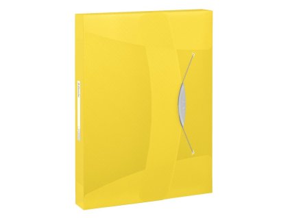 Plastový box s gumičkou Esselte VIVIDA žltý