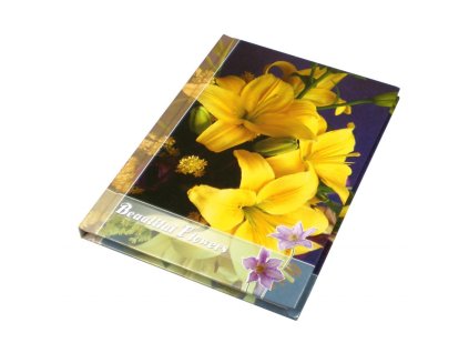 Záznamová kniha A4 100 listov linajková