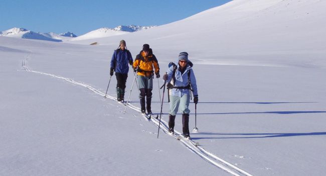 NORDIC - TOURING