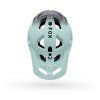Helma-Fox-Speedframe-Pro-Backfade-frost_3
