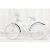 blatniky-sks-velo-55-junior-24--set-cerne1