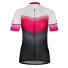 etape violet 2532912 2