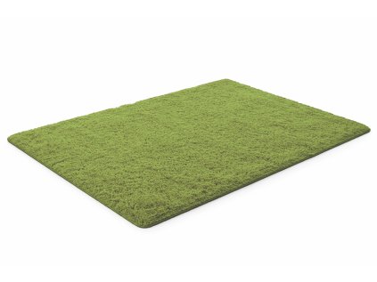 Zelený obdĺžnikový shaggy koberec Lana