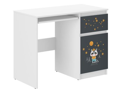 Detský písací stôl N-33 BORSUK