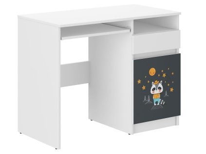 Detský písací stôl N-35 BORSUK