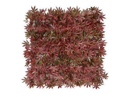 Panel farebných rastlín KLON CZERWONY (50x50cm)