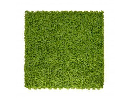 Panel zelene MECH (50x50cm)