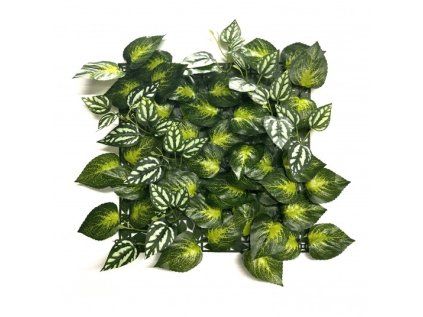 Panel zelene AUREUS (33x33cm)