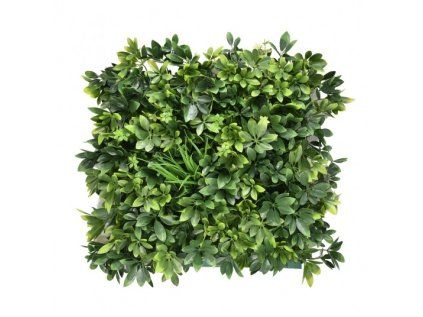 Panel zelene SZEFLERA